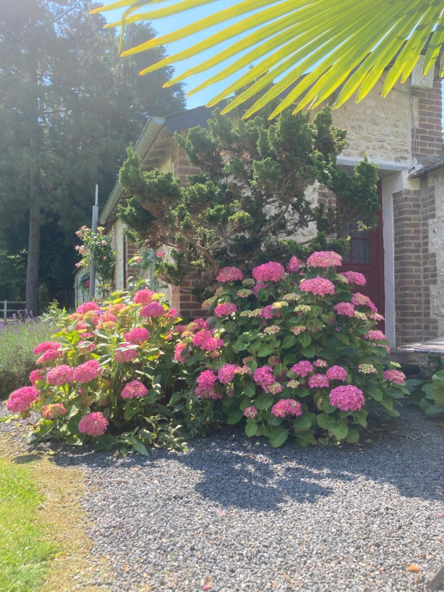 L'Oreade Amfreville-sur-Iton Экстерьер фото